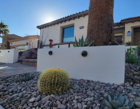 A cactus is sitting in the middle of a garden.